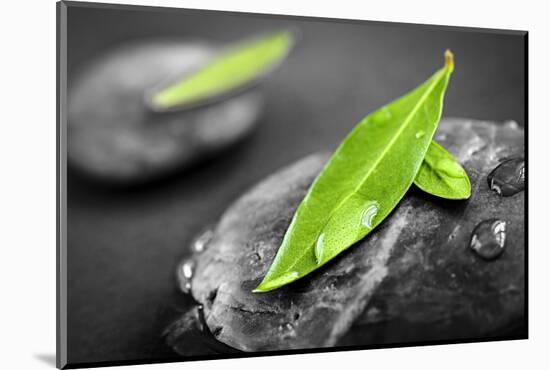 Black and White Zen Stones Submerged in Water with Color Accented Green Leaves-elenathewise-Mounted Photographic Print