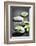 Black and White Zen Stones Submerged in Water with Color Accented Green Leaves-elenathewise-Framed Photographic Print