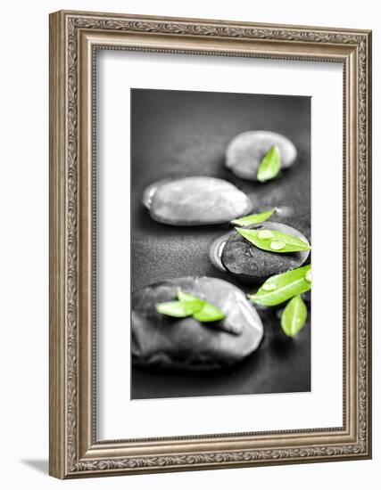 Black and White Zen Stones Submerged in Water with Color Accented Green Leaves-elenathewise-Framed Photographic Print