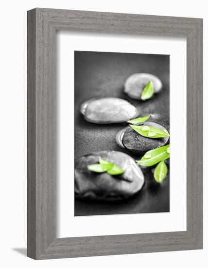 Black and White Zen Stones Submerged in Water with Color Accented Green Leaves-elenathewise-Framed Photographic Print