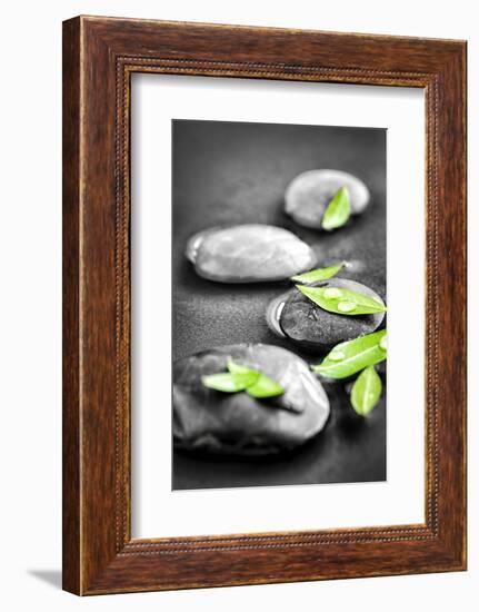 Black and White Zen Stones Submerged in Water with Color Accented Green Leaves-elenathewise-Framed Photographic Print