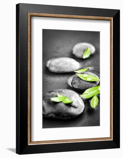 Black and White Zen Stones Submerged in Water with Color Accented Green Leaves-elenathewise-Framed Photographic Print