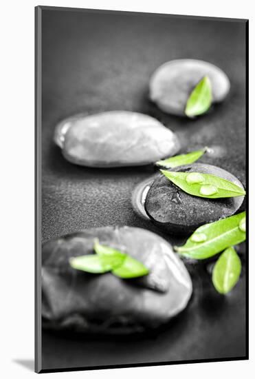 Black and White Zen Stones Submerged in Water with Color Accented Green Leaves-elenathewise-Mounted Photographic Print