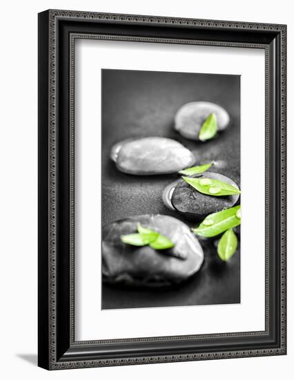 Black and White Zen Stones Submerged in Water with Color Accented Green Leaves-elenathewise-Framed Photographic Print