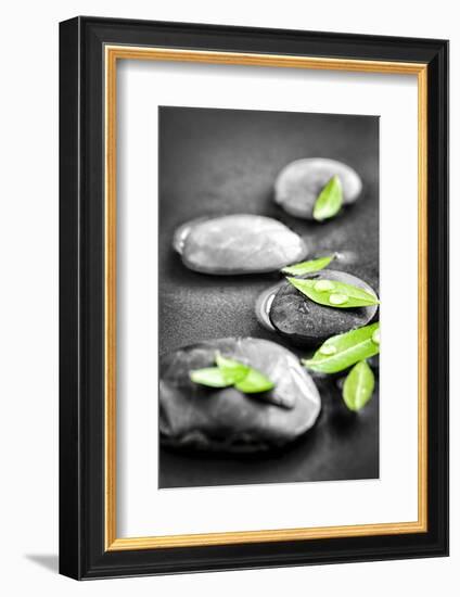 Black and White Zen Stones Submerged in Water with Color Accented Green Leaves-elenathewise-Framed Photographic Print