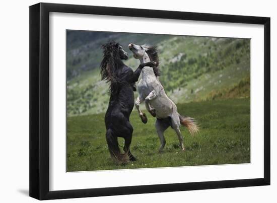 Black And White-Vedran Vidak-Framed Giclee Print