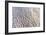 Black And White-Joan Gil Raga-Framed Giclee Print