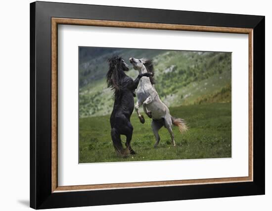 Black and White-Vedran Vidak-Framed Photographic Print