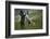 Black and White-Vedran Vidak-Framed Photographic Print