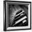 Black and White-Ajkabajka-Framed Photographic Print