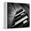 Black and White-Ajkabajka-Framed Premier Image Canvas