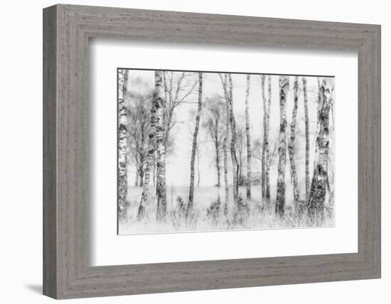 Black and White-Nel Talen-Framed Photographic Print