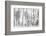 Black and White-Nel Talen-Framed Photographic Print