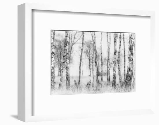 Black and White-Nel Talen-Framed Photographic Print