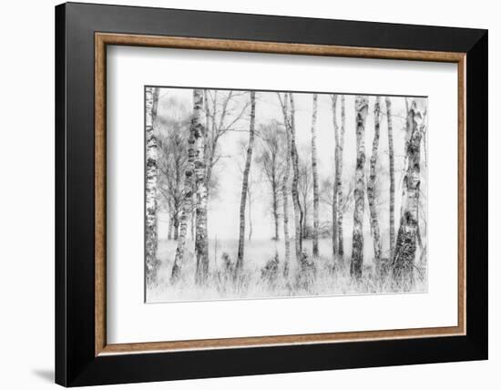 Black and White-Nel Talen-Framed Photographic Print