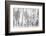 Black and White-Nel Talen-Framed Photographic Print