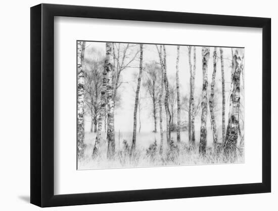 Black and White-Nel Talen-Framed Photographic Print