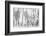 Black and White-Nel Talen-Framed Photographic Print