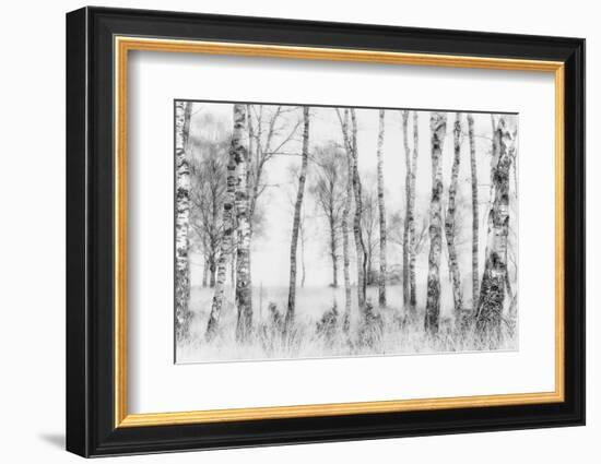 Black and White-Nel Talen-Framed Photographic Print