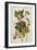 Black and Yellow Warbler. Magnolia Warbler-John James Audubon-Framed Giclee Print