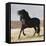 Black Andalusian Stallion Cantering in Arena Yard, Osuna, Spain-Carol Walker-Framed Premier Image Canvas