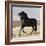 Black Andalusian Stallion Cantering in Arena Yard, Osuna, Spain-Carol Walker-Framed Photographic Print