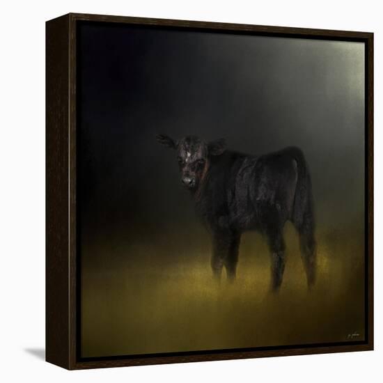 Black Angus Calf in the Moonlight-Jai Johnson-Framed Premier Image Canvas