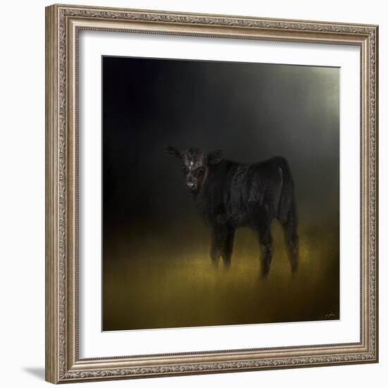 Black Angus Calf in the Moonlight-Jai Johnson-Framed Giclee Print