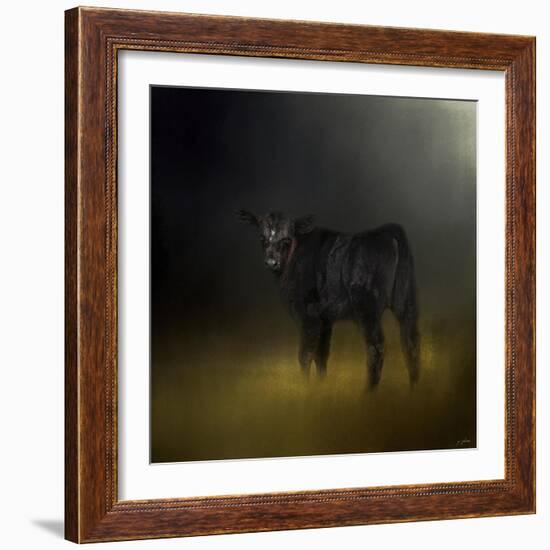 Black Angus Calf in the Moonlight-Jai Johnson-Framed Giclee Print