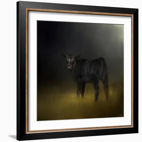 Black Angus Calf in the Moonlight-Jai Johnson-Framed Giclee Print