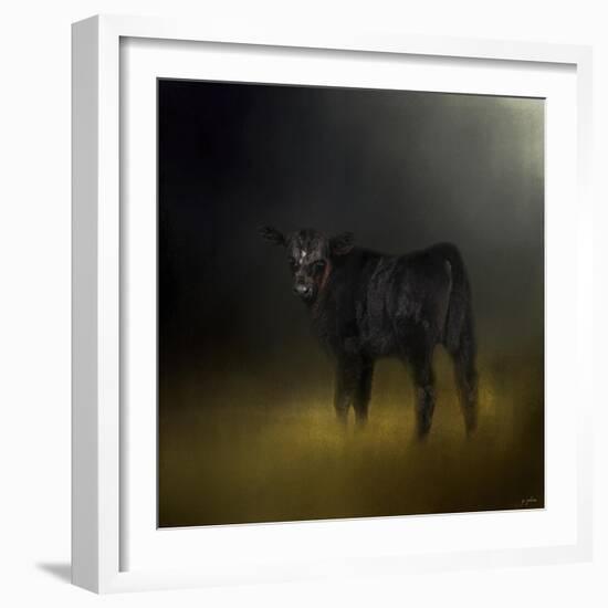 Black Angus Calf in the Moonlight-Jai Johnson-Framed Giclee Print