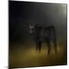 Black Angus Calf in the Moonlight-Jai Johnson-Mounted Giclee Print