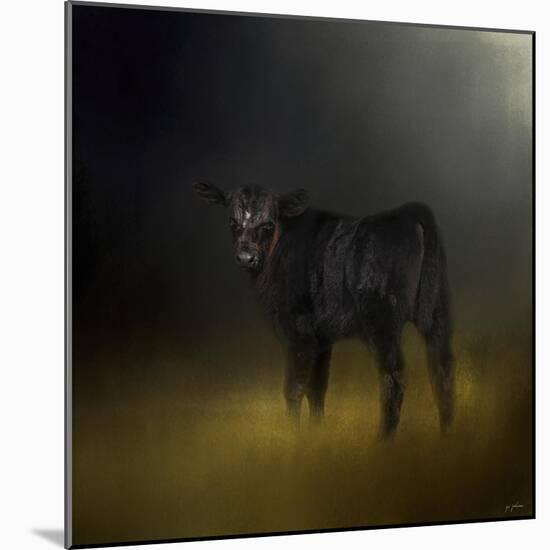 Black Angus Calf in the Moonlight-Jai Johnson-Mounted Giclee Print