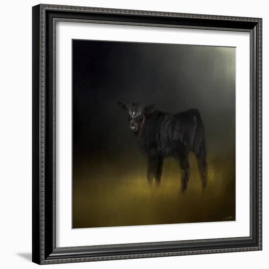 Black Angus Calf in the Moonlight-Jai Johnson-Framed Giclee Print