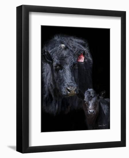 Black Angus-Barry Hart-Framed Art Print