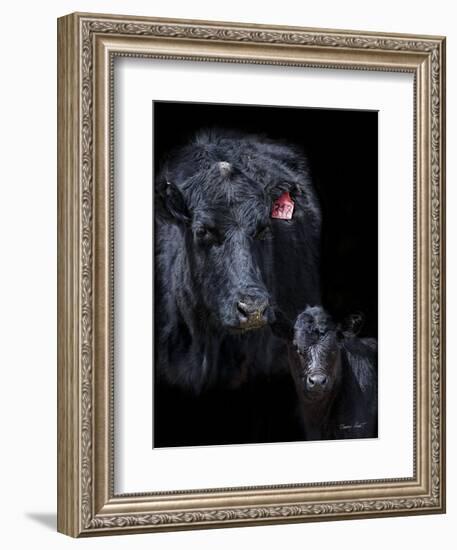 Black Angus-Barry Hart-Framed Art Print