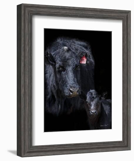 Black Angus-Barry Hart-Framed Art Print