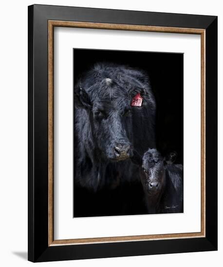 Black Angus-Barry Hart-Framed Art Print