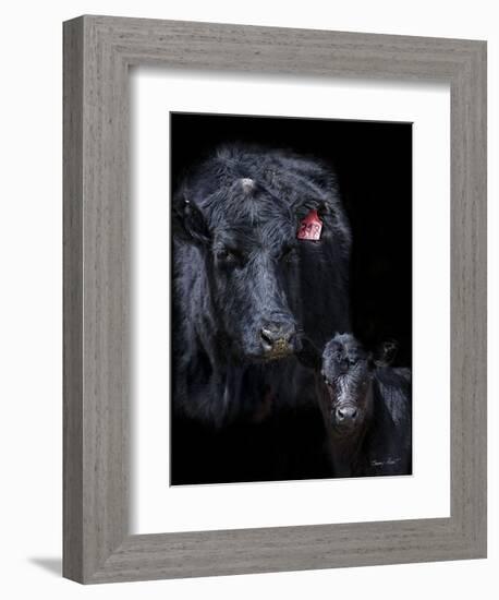 Black Angus-Barry Hart-Framed Art Print