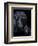 Black Angus-Barry Hart-Framed Art Print