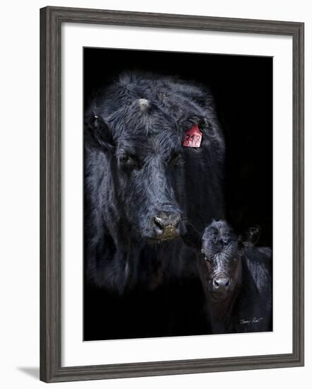 Black Angus-Barry Hart-Framed Art Print