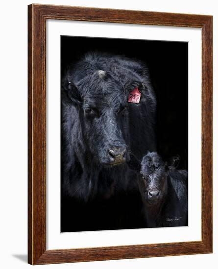 Black Angus-Barry Hart-Framed Art Print