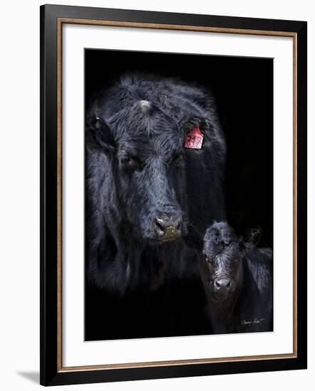 Black Angus-Barry Hart-Framed Art Print