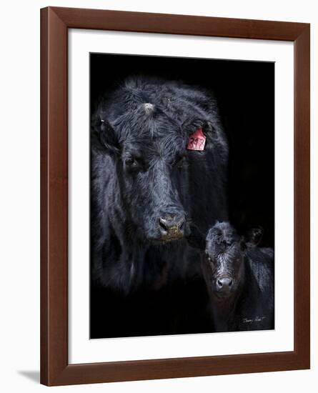 Black Angus-Barry Hart-Framed Art Print