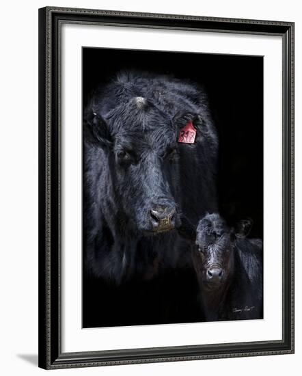 Black Angus-Barry Hart-Framed Art Print