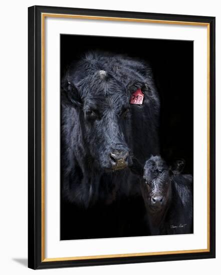 Black Angus-Barry Hart-Framed Art Print