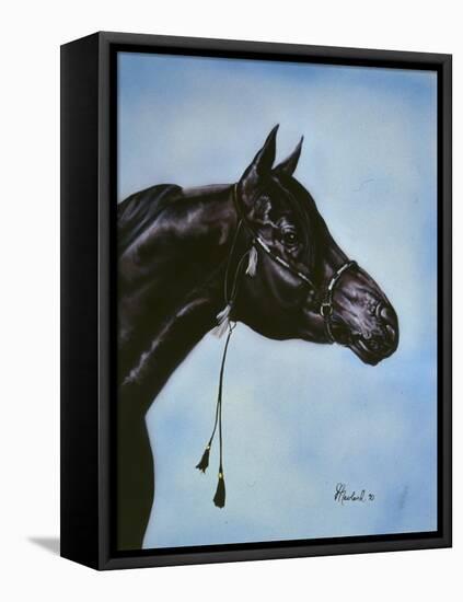 Black Arabian-Jenny Newland-Framed Premier Image Canvas