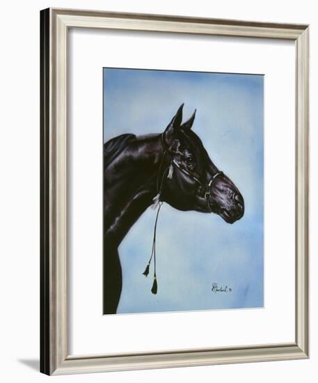 Black Arabian-Jenny Newland-Framed Giclee Print