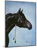 Black Arabian-Jenny Newland-Mounted Giclee Print