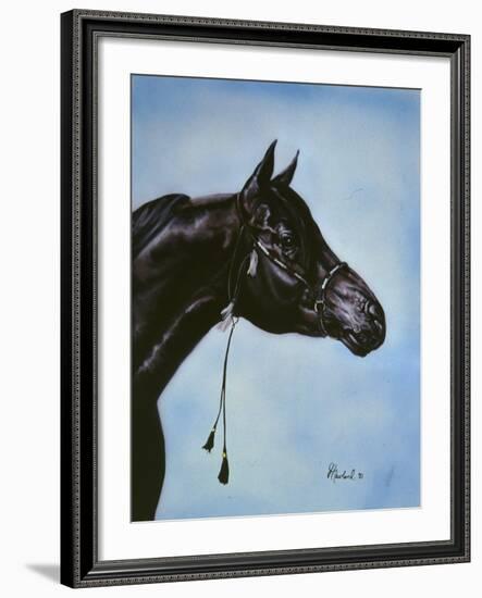 Black Arabian-Jenny Newland-Framed Giclee Print